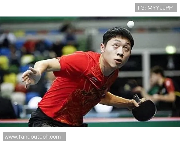 吴芳专访：回顾乒乓球历程